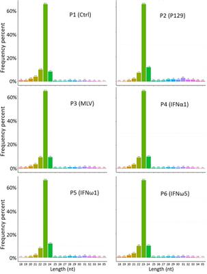 Comparative transcriptomics reveals small RNA composition and differential microRNA responses underlying interferon-mediated antiviral regulation in porcine alveolar macrophages